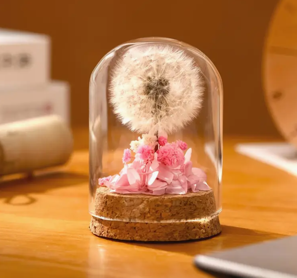 Mini Natural Dandelion Preserved Eternal Flower Decor Cherished