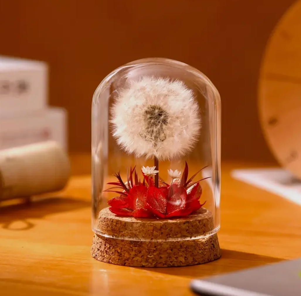 Mini Natural Dandelion Preserved Eternal Flower Decor Cherished