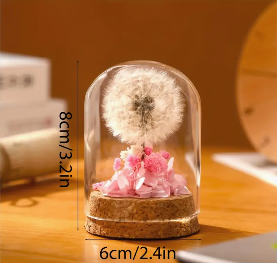 Mini Natural Dandelion Preserved Eternal Flower Decor Cherished