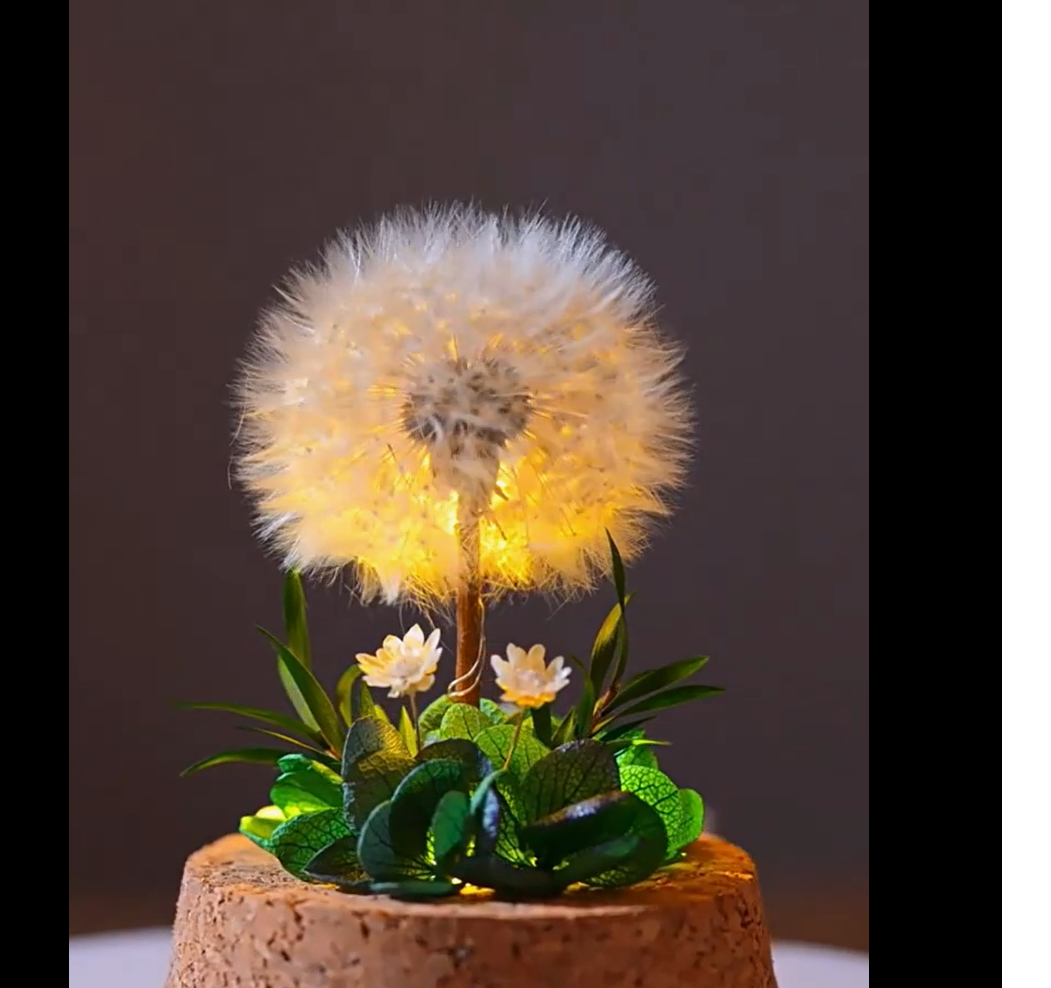 Mini Natural Dandelion Preserved Eternal Flower Decor Cherished