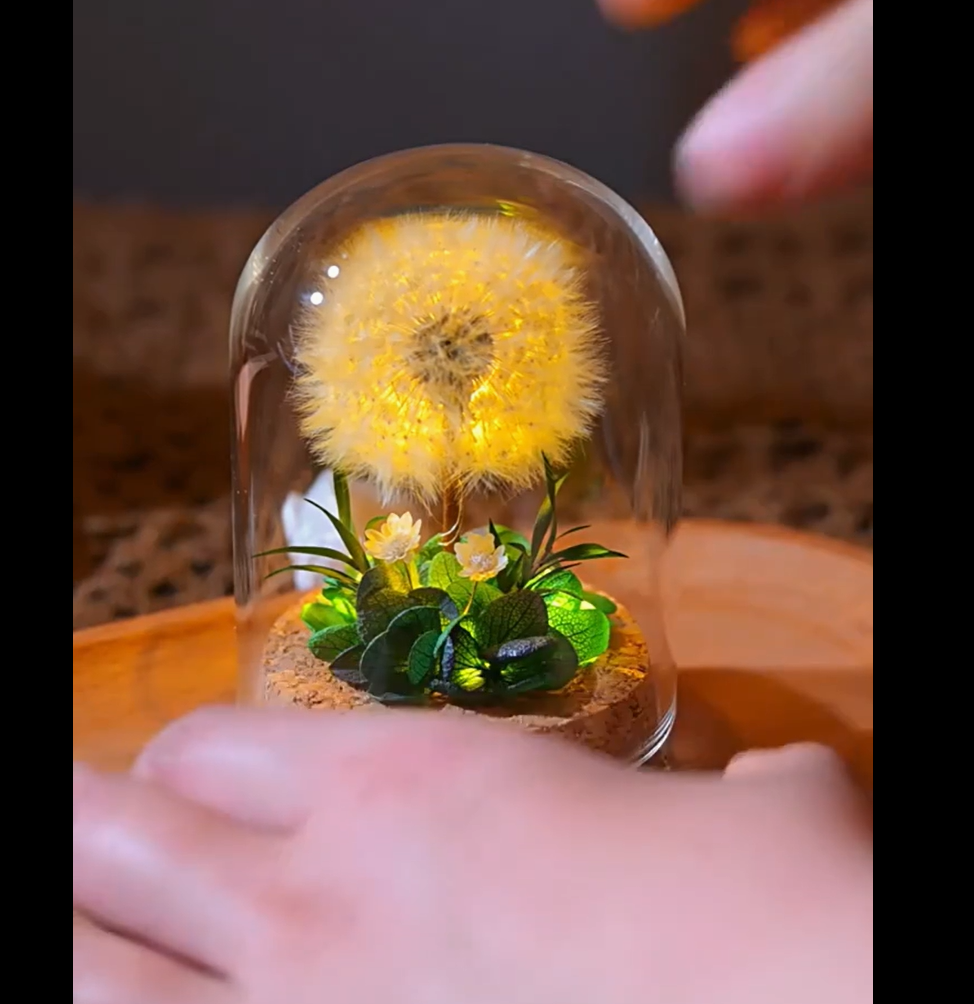 Mini Natural Dandelion Preserved Eternal Flower Decor Cherished